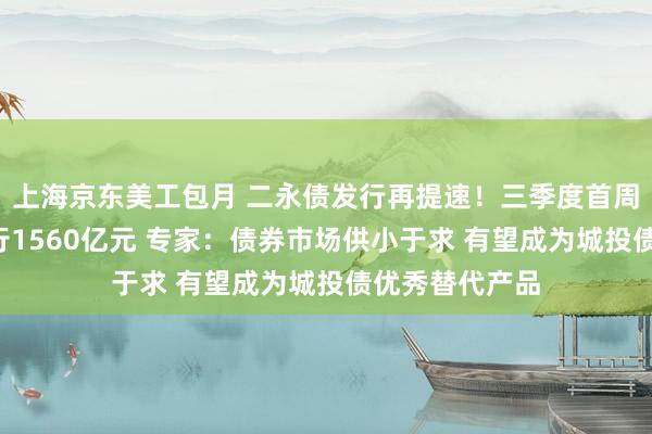 上海京东美工包月 二永债发行再提速！三季度首周7家银行拟发行1560亿元 专家：债券市场供小于求 有望成为城投债优秀替代产品