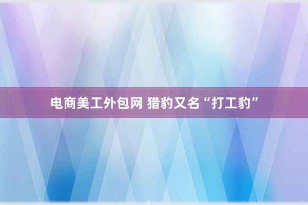 电商美工外包网 猎豹又名“打工豹”