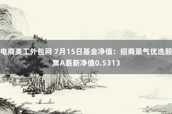 电商美工外包网 7月15日基金净值：招商景气优选股票A最新净值0.5313